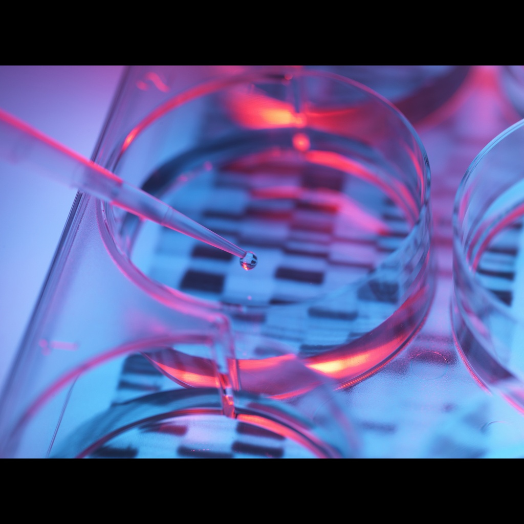 Hieff NGS® DNA Library Prep Primer Mix for MGI®-96T
